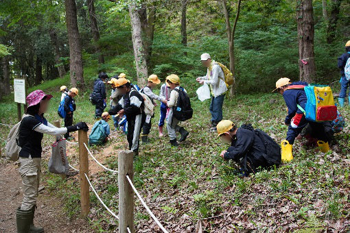 土田小カタクリ種蒔き