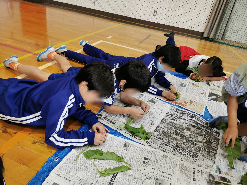 タラヨウの葉で葉書作り